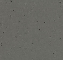 Линолеум Forbo Sphera Energetic 50215 ebony фото 1 | FLOORDEALER